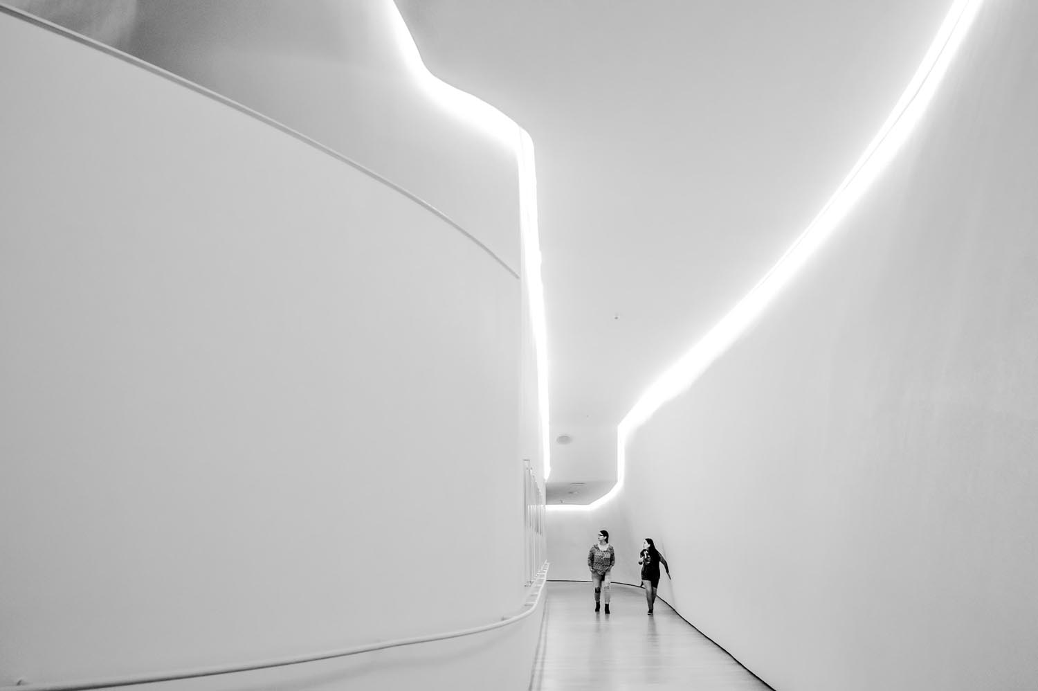 pexels-arantxa-treva-959323