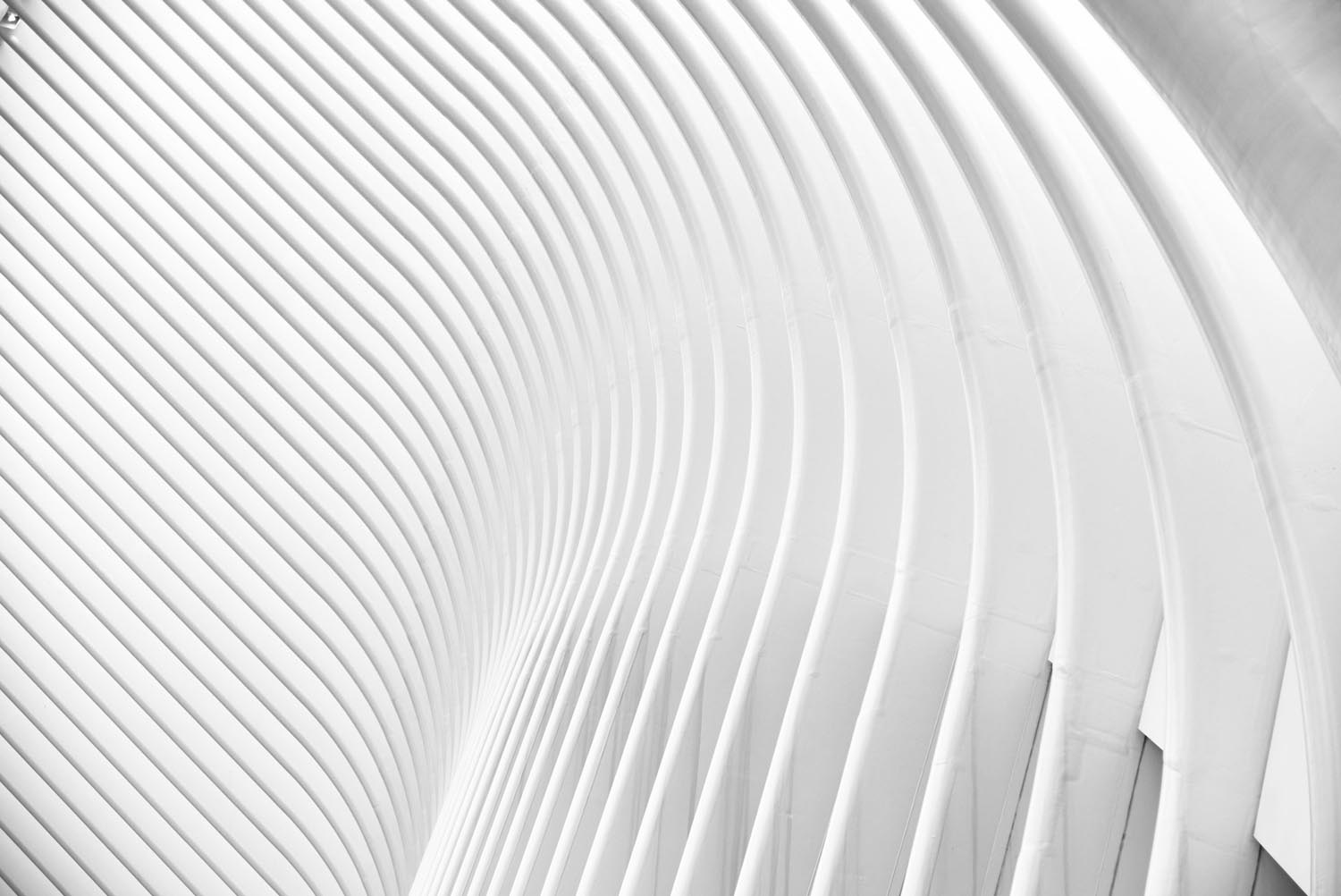 pexels-gdtography-911738 (1)