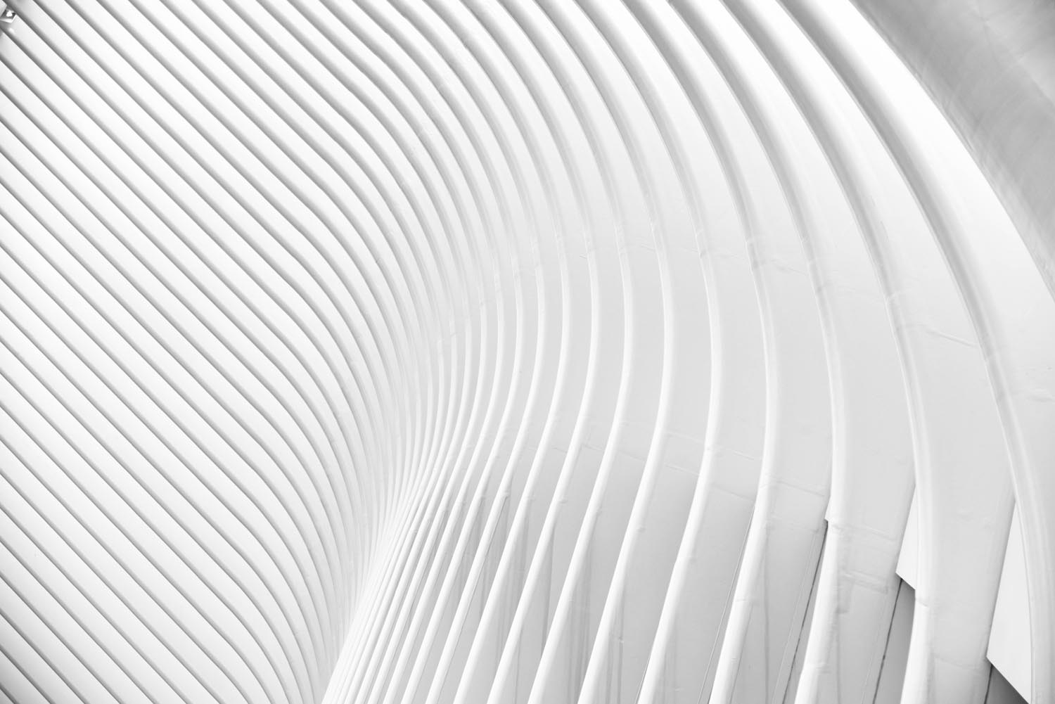 pexels-gdtography-911738